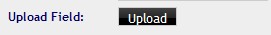 Upload Field Upload Field