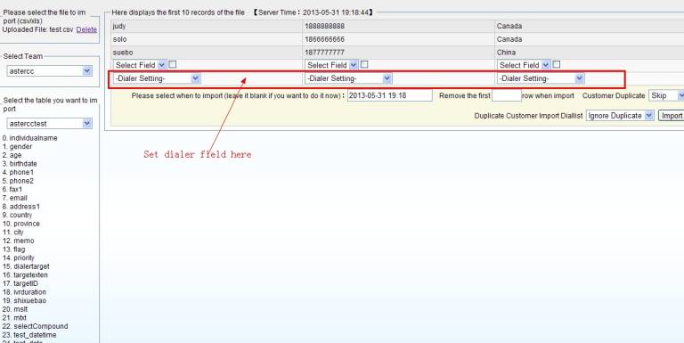 Insert into diallist when import
