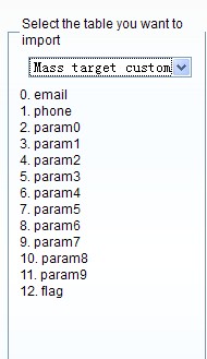 Import To Mass target customers table